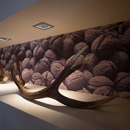 Boutiquehotel Weisses Roessl Инсбрук